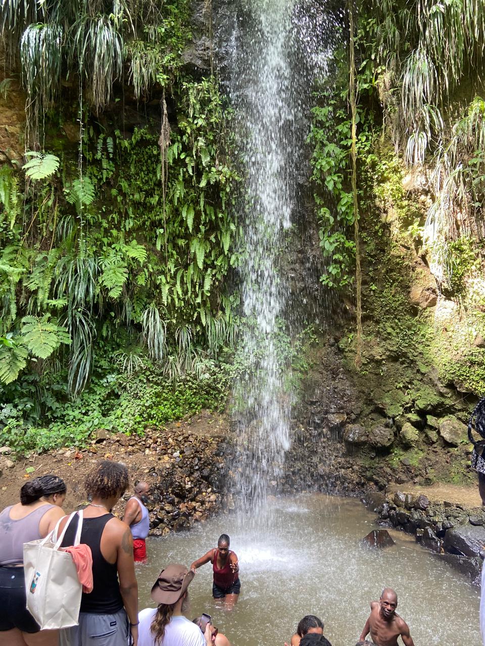 Rainforest Waterfalls